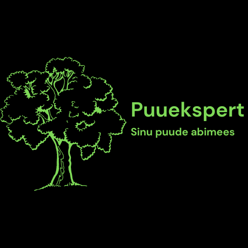 Ohtlike puude langetamine Harjumaal ja Tallinnas | Arborist