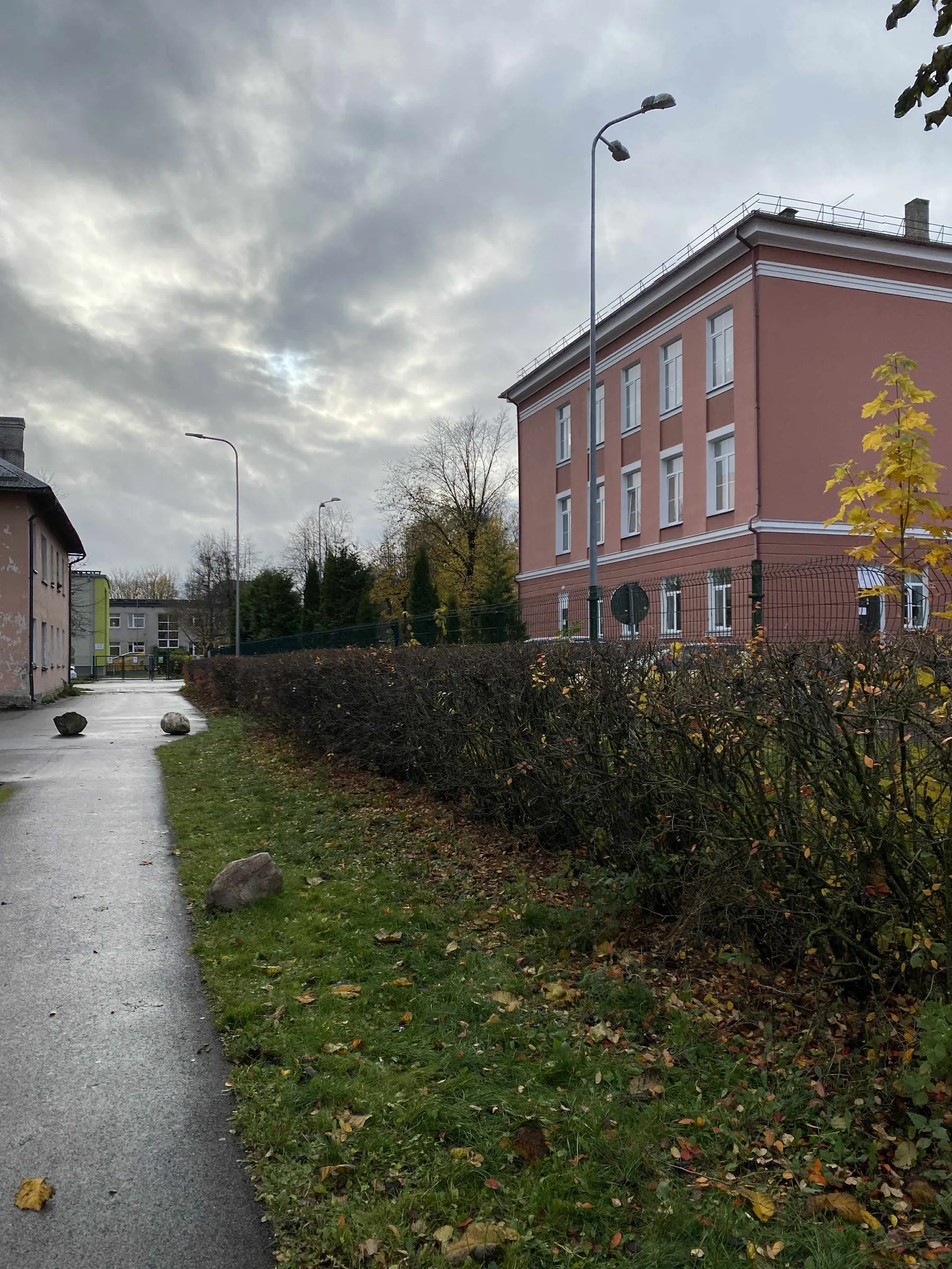 Pügatud hekk kergliiklustee ääres kortermaja juures