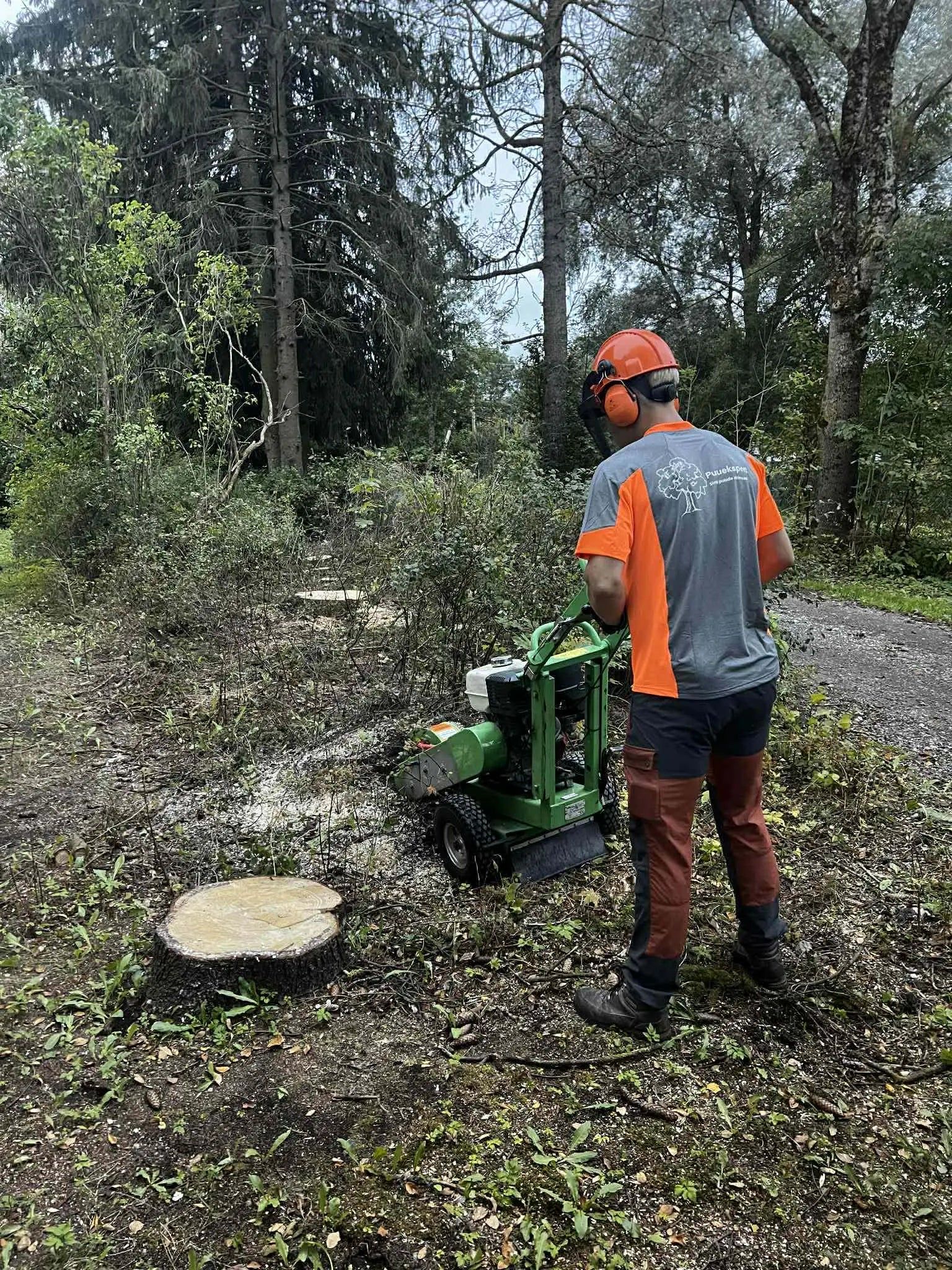 Arborist freesib kändu kännufreesiga