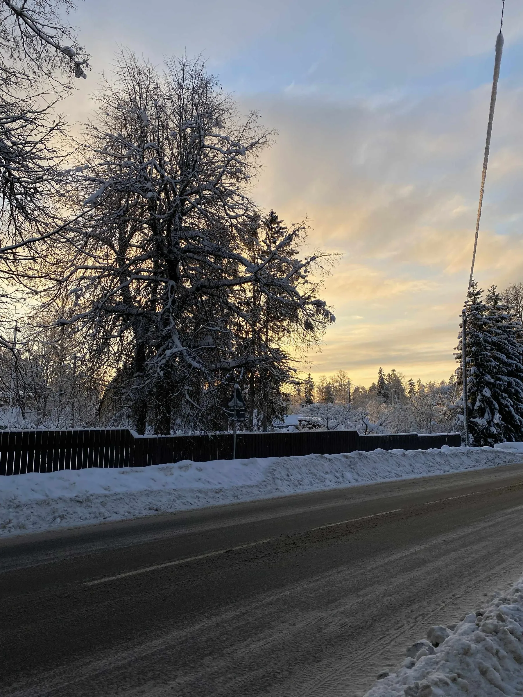 Talvine tänav lumiste puudega
