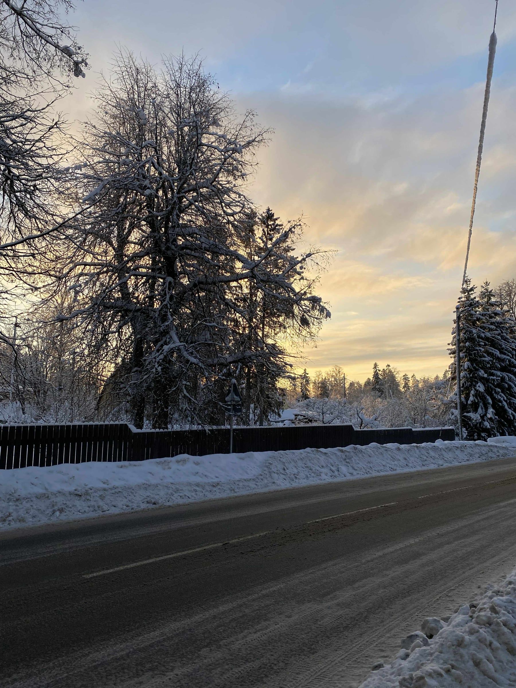 Talvine tänav lumiste puudega