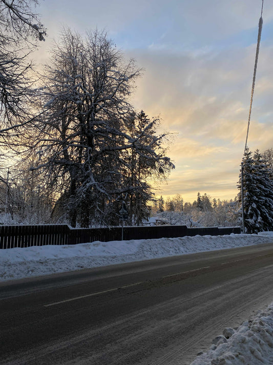 Puude langetamine talvel