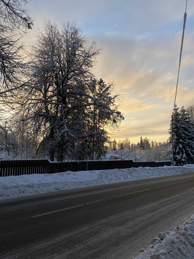 Puude langetamine talvel