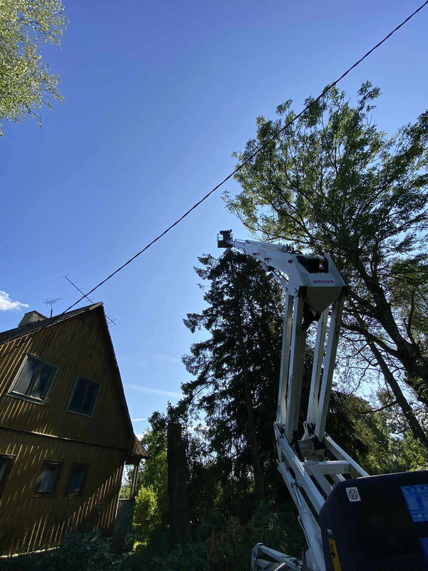 Arborist Tallinnas ja Harjumaal ning üle Eesti