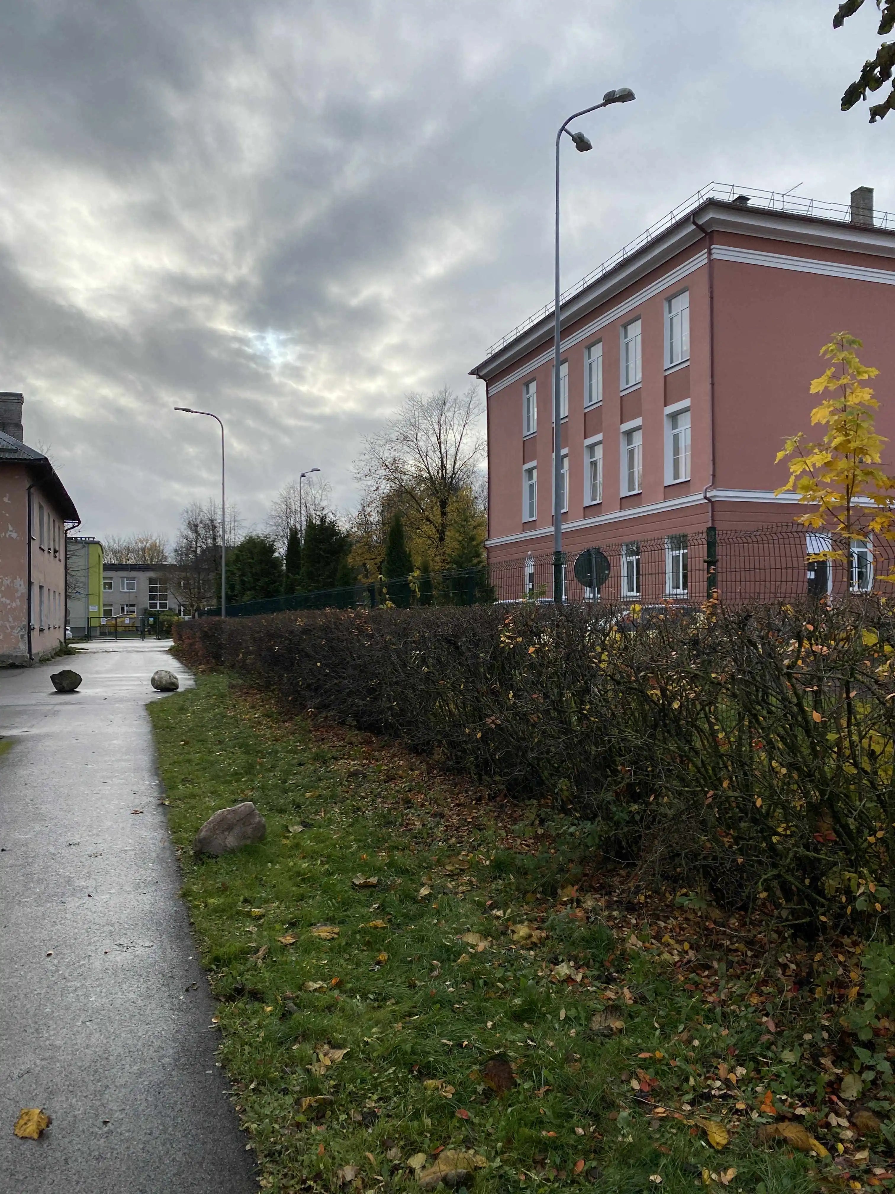 Hekkide hooldus ja lõikus Harjumaal ja Tallinnas