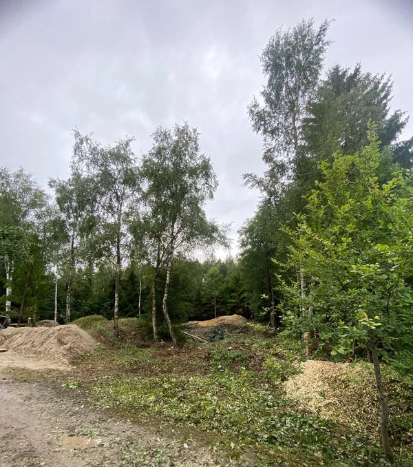 Võsast puhastatud kinnistu