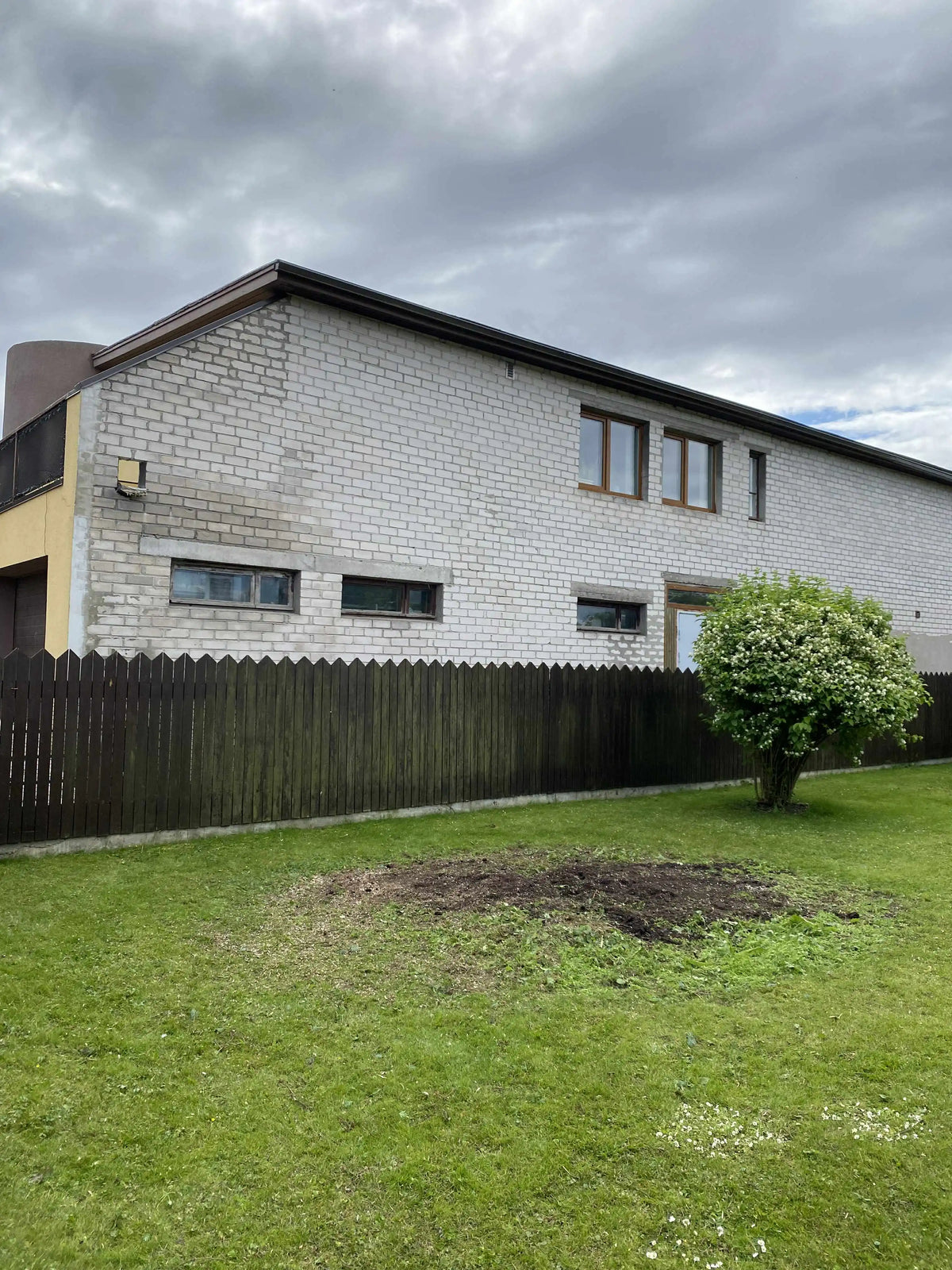 Puu_langetamine_koos_kännufreesiga