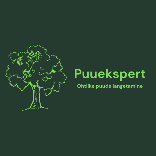 Puuekspert